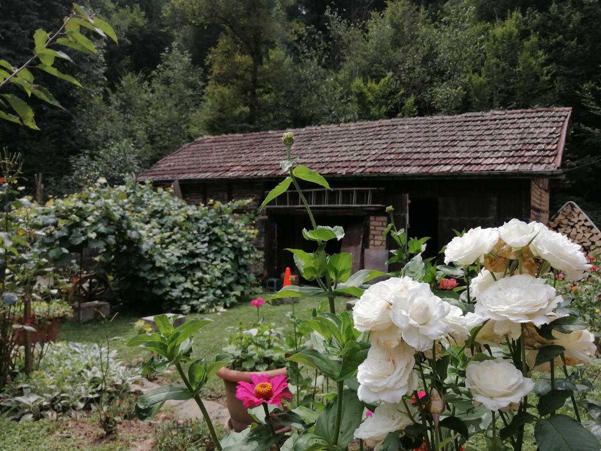 Къща Цвети-1 Трявна Ξενοδοχείο Bangeytsi Εξωτερικό φωτογραφία